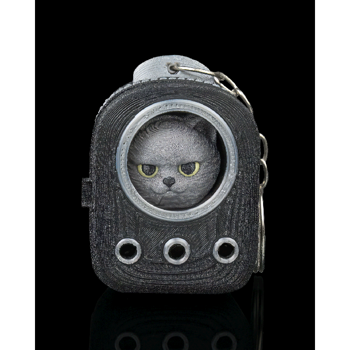 Everyday Pack - British Shorthair