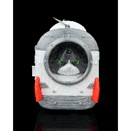 Launch Pack - Maine Coon