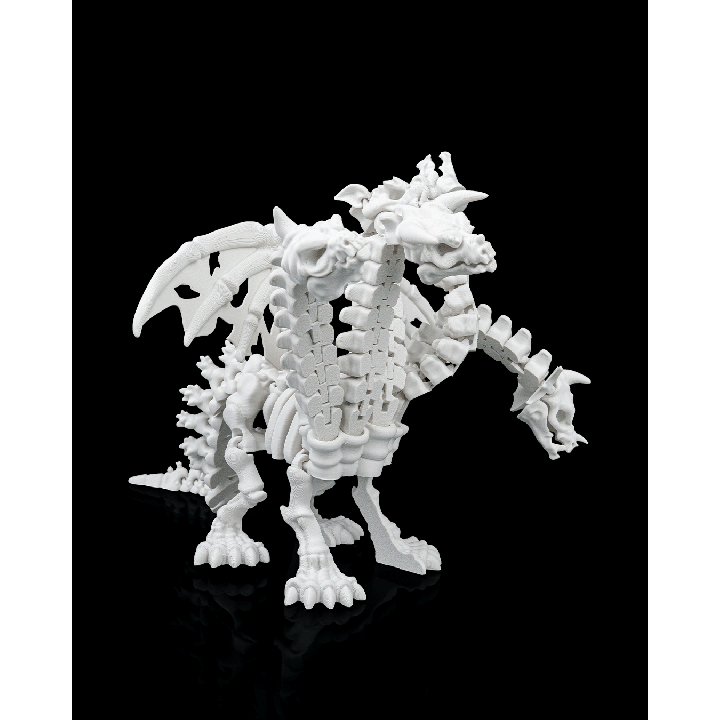 Squelette de pentadragon