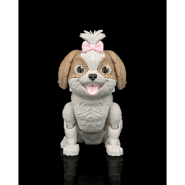 Princess le shih tzu