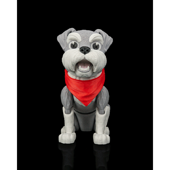George le schnauzer