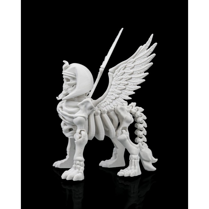 Squelette de Sphinx