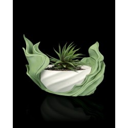 Seaweed Flow - Self-Watering Cache-Pot | Impression 3D Artisanale Occitanie