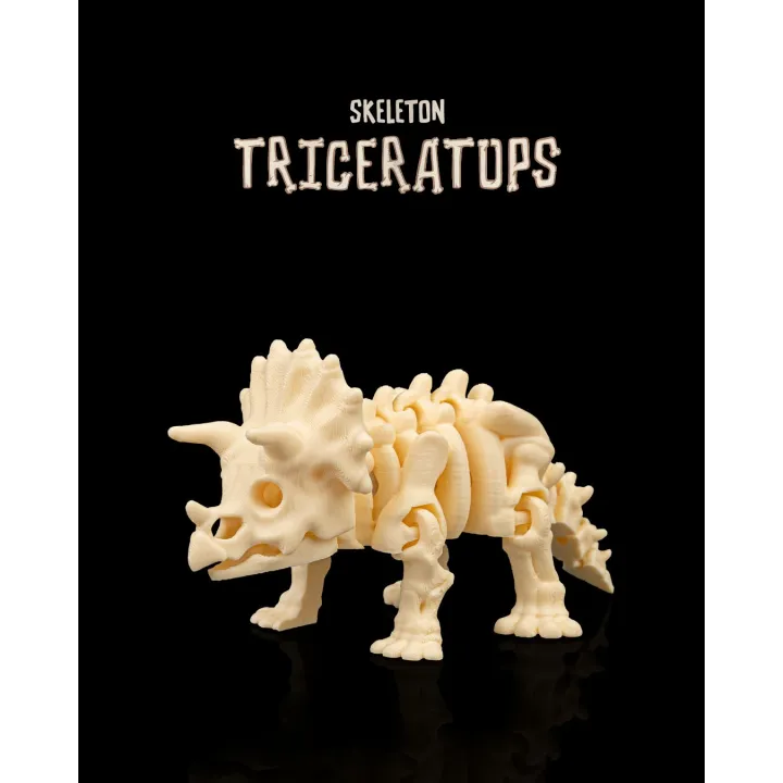 Maison Drabiec Strates