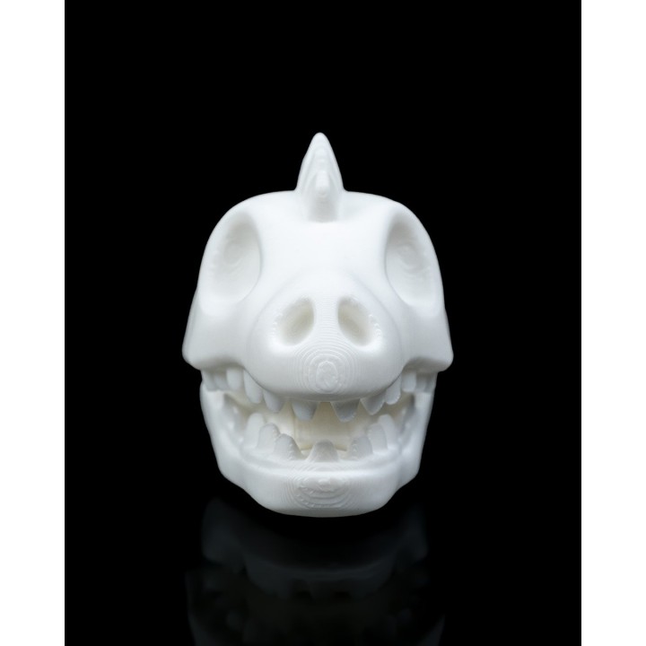 Crâne Dino Sac - Pince