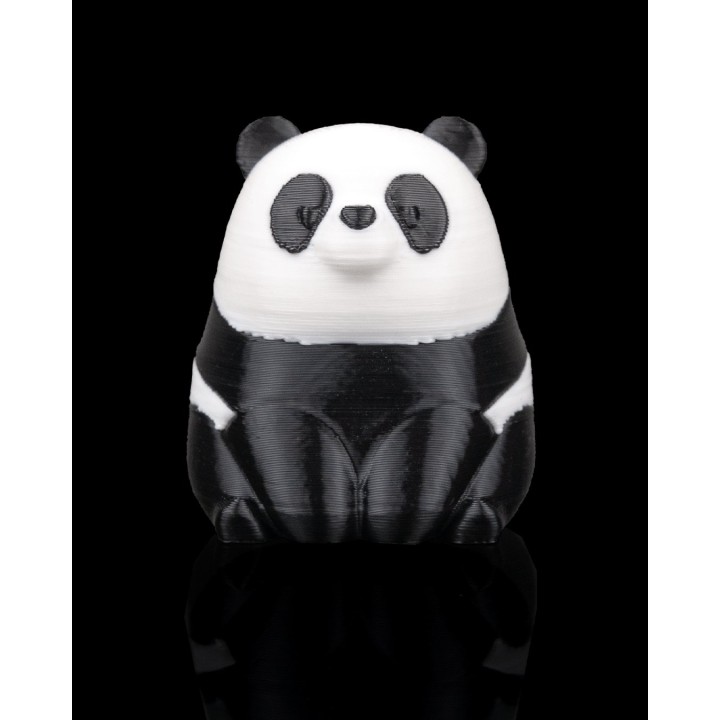 Panda Assis