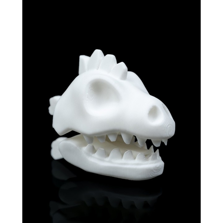 Crâne Dino Sac - Pince