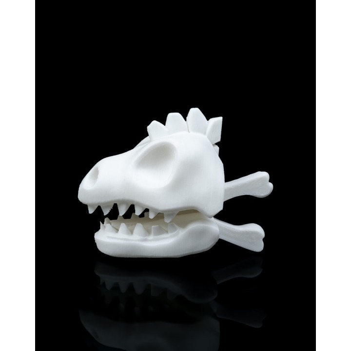 Crâne Dino Sac - Pince