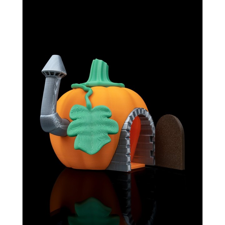 Maison Magique Articulée - Figurine