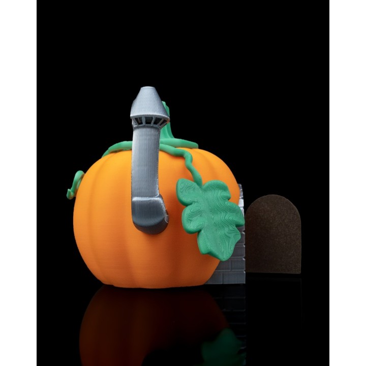 Maison Magique Articulée - Figurine