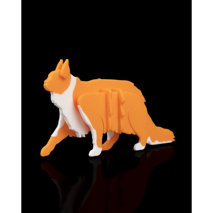 Kit Chat Forestier Carton