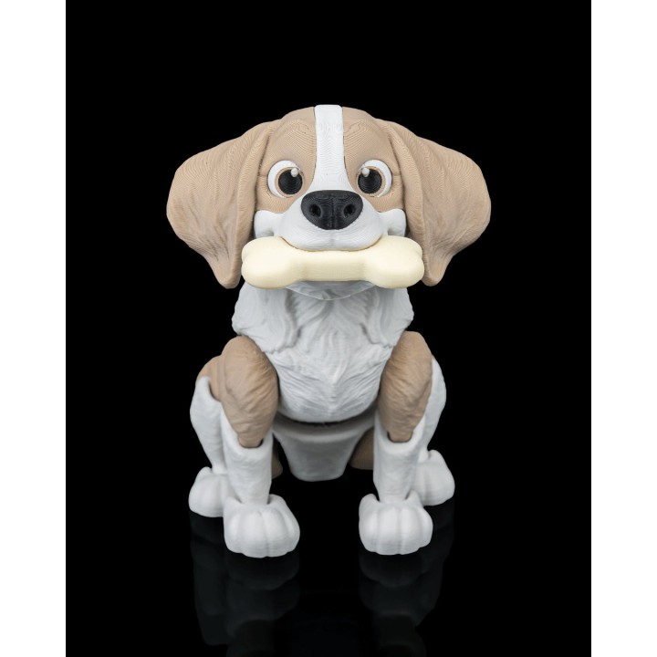 Milo, le Beagle