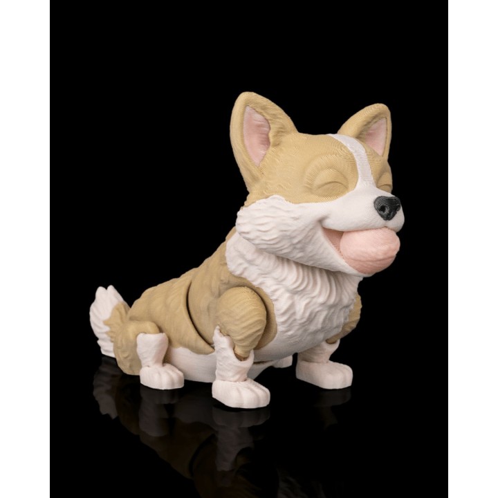 Willow, le Corgi