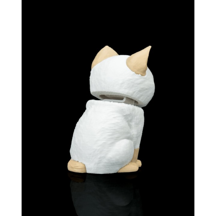 Coffret Câlin - Siamois