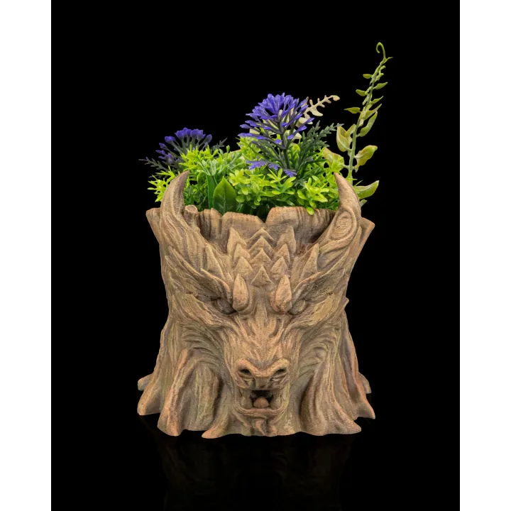 Maison Drabiec Strates