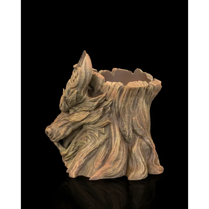 Maison Drabiec Strates