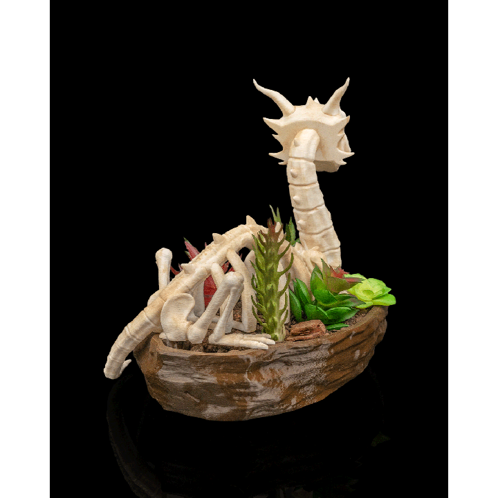 Maison Drabiec Strates