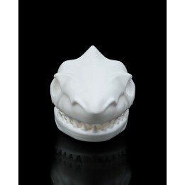 Requin Crâne Pince - Accessoire