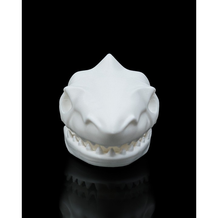 Requin Crâne Pince - Accessoire