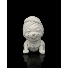 Princesse, le Shih Tzu