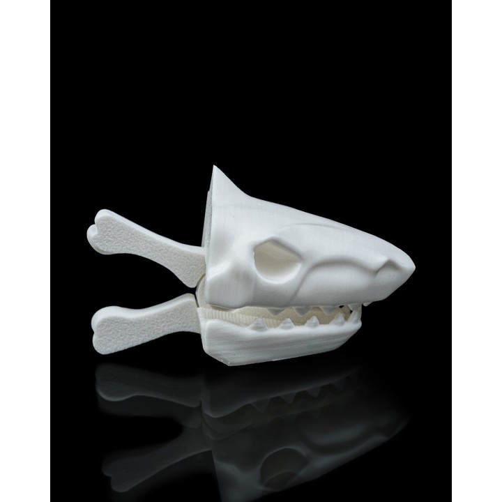 Requin Crâne Pince - Accessoire