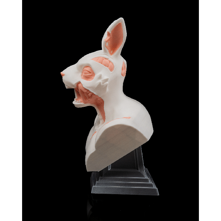 Maison Drabiec Strates