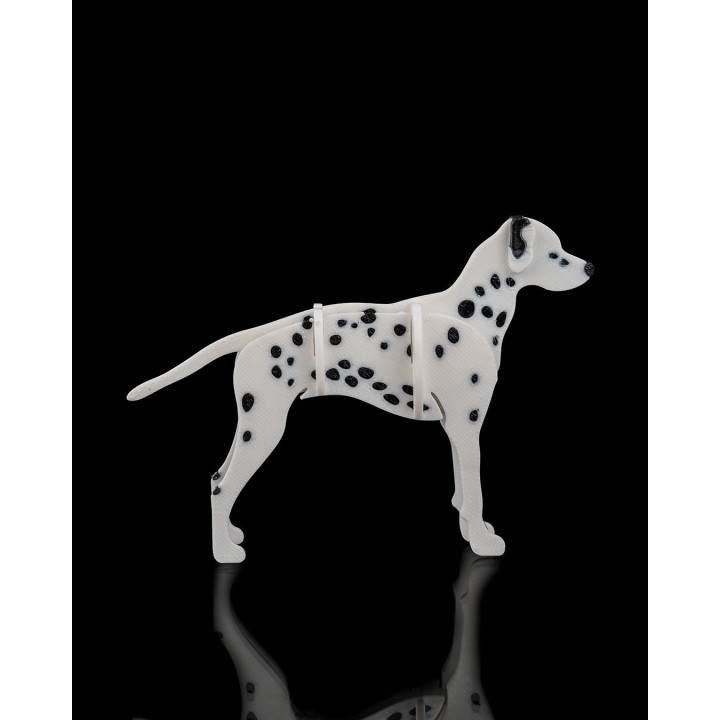 Carte figurine dalmatien