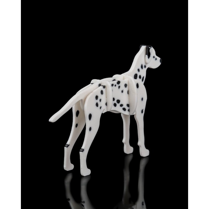 Carte figurine dalmatien