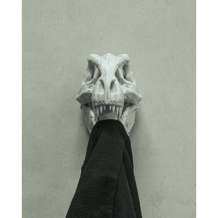 Porte-Manteau Crâne T-Rex – Crochet Mural Dinosaure