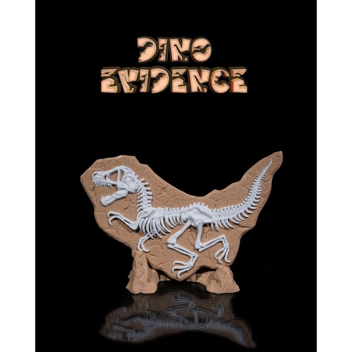 Dino Evidence – Fossile De T-Rex Squelette Sur Socle Rocheux
