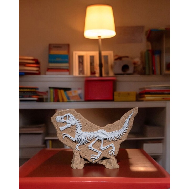 Dino Evidence – Fossile De T-Rex Squelette Sur Socle Rocheux