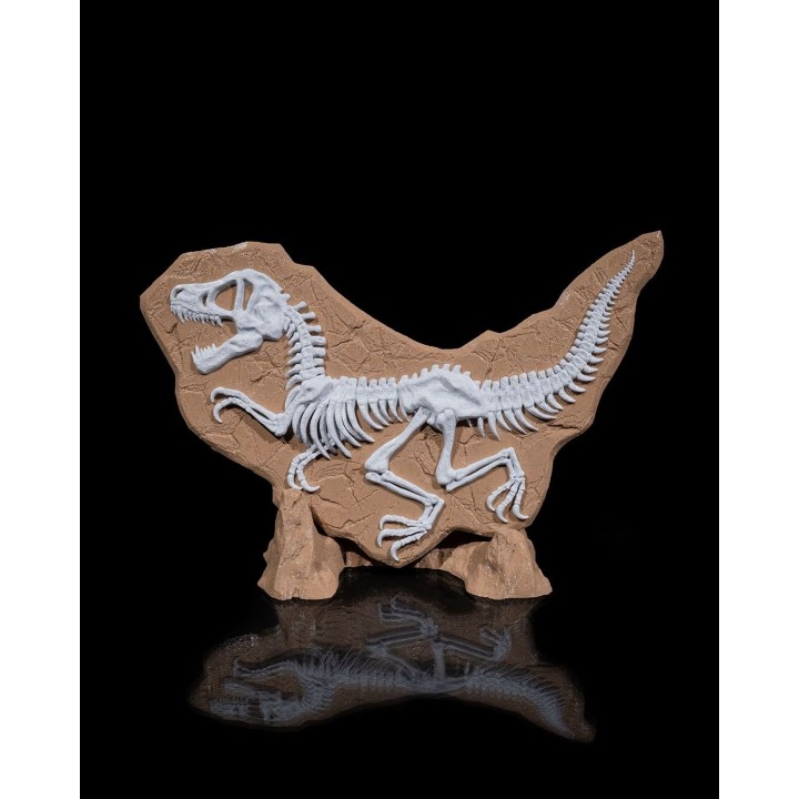 Dino Evidence – Fossile De T-Rex Squelette Sur Socle Rocheux