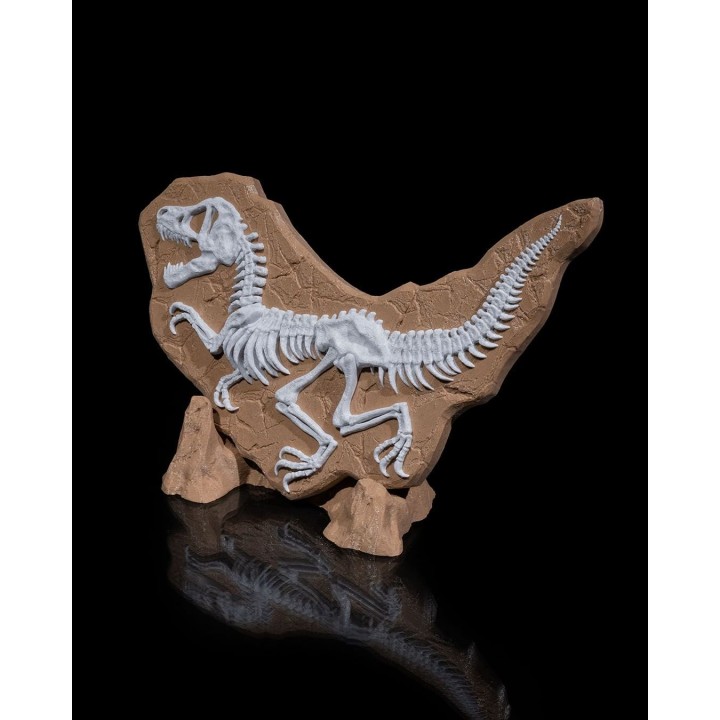 Dino Evidence – Fossile De T-Rex Squelette Sur Socle Rocheux