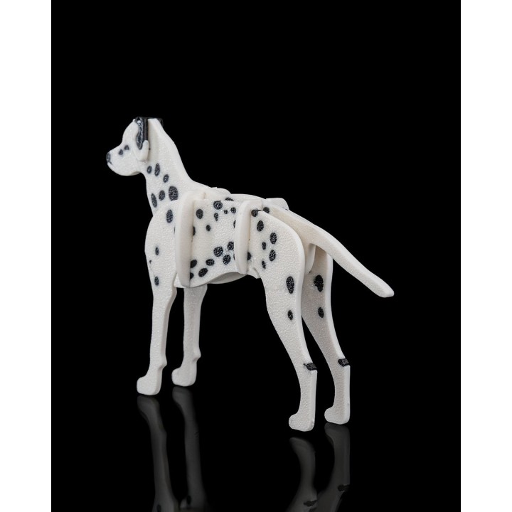 Carte figurine dalmatien