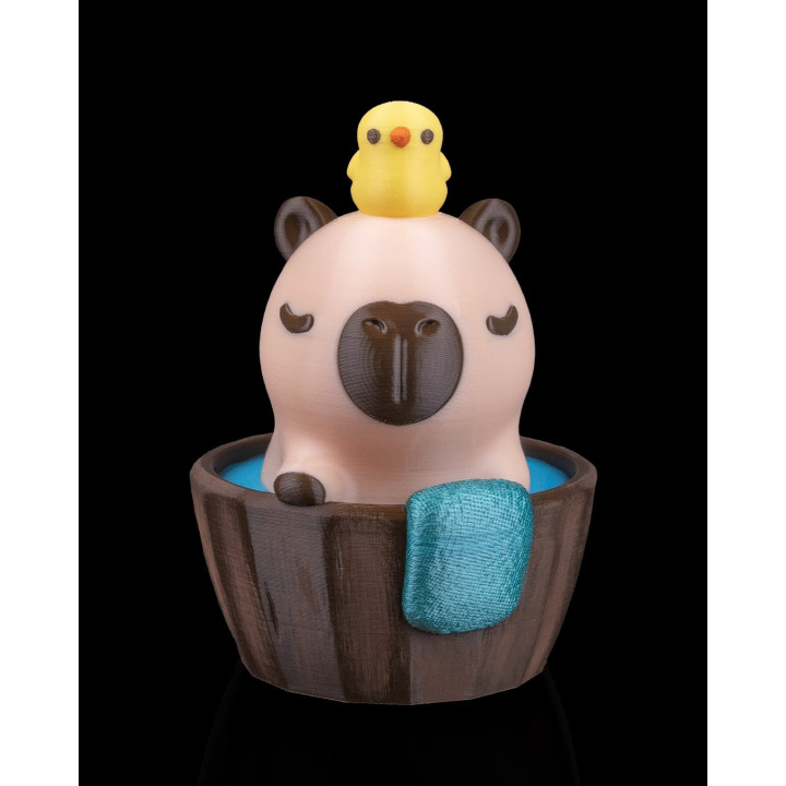 Capybara Au Bain – Figurine Décorative Capybathing