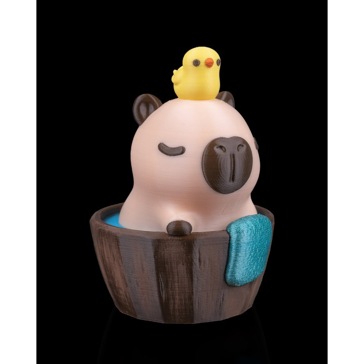 Capybara Au Bain – Figurine Décorative Capybathing
