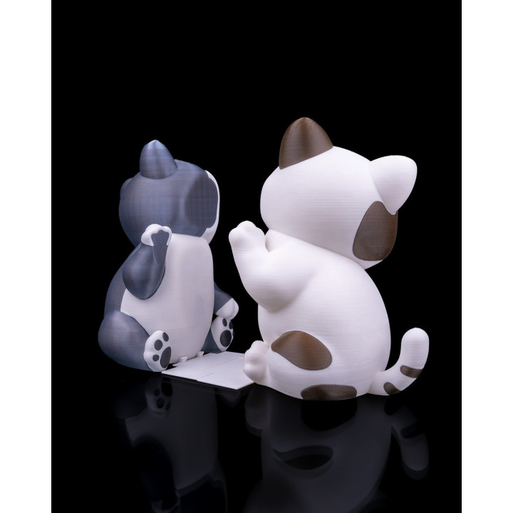 Serre-Livres Chats Câlins – Duo De Chatons Mignons Pour Bibliothèque