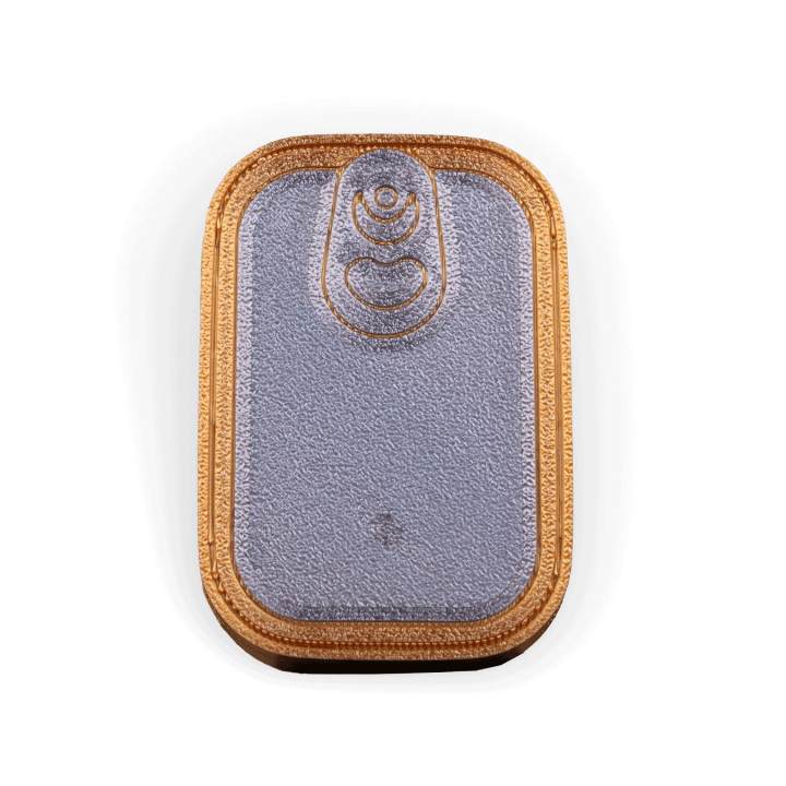 Boîte Secrète Boîte De Sardines – Contenant Original À Aimant