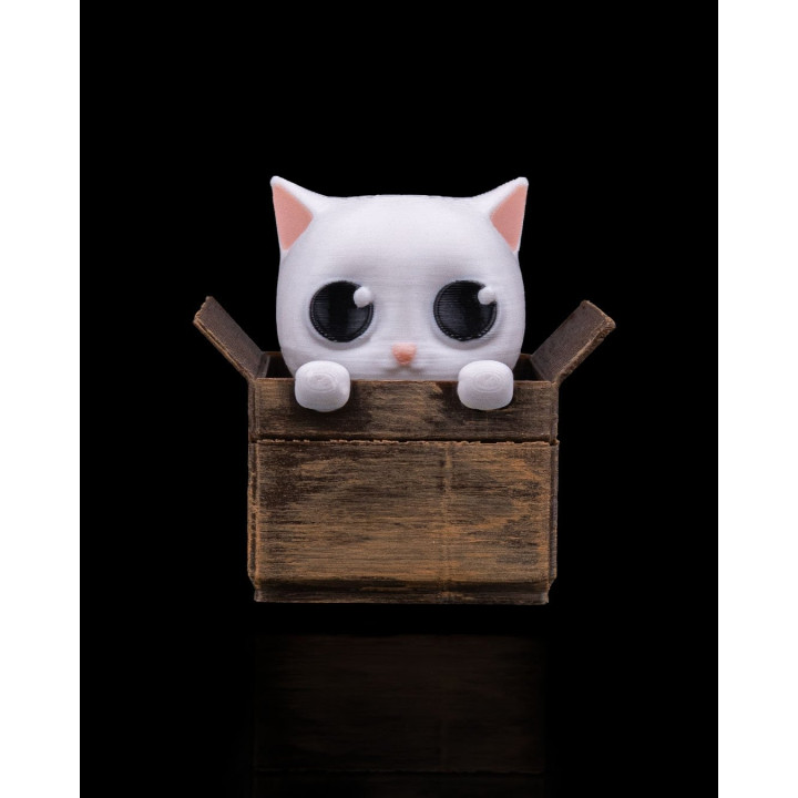 Chat Fidget Dans Sa Boîte – Porte-Clés & Figurine Anti-Stress
