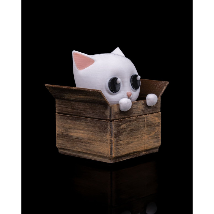 Chat Fidget Dans Sa Boîte – Porte-Clés & Figurine Anti-Stress