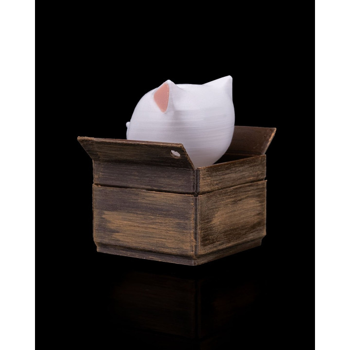 Chat Fidget Dans Sa Boîte – Porte-Clés & Figurine Anti-Stress