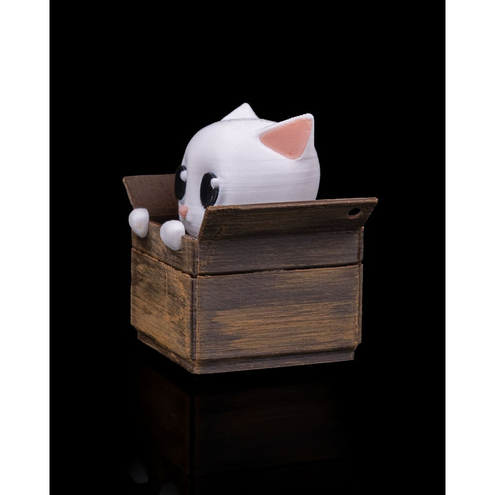 Chat Fidget Dans Sa Boîte – Porte-Clés & Figurine Anti-Stress