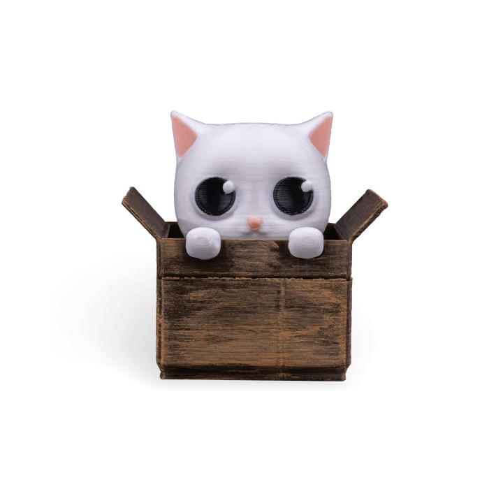 Chat Fidget Dans Sa Boîte – Porte-Clés & Figurine Anti-Stress