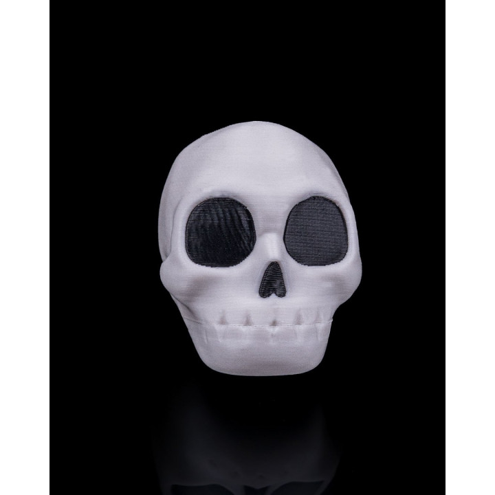 Crâne Claqueur À Mâchoire Articulée – Rattle Jaw Skull