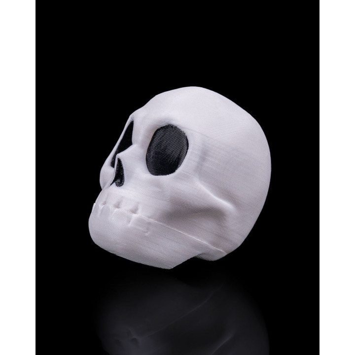 Crâne Claqueur À Mâchoire Articulée – Rattle Jaw Skull