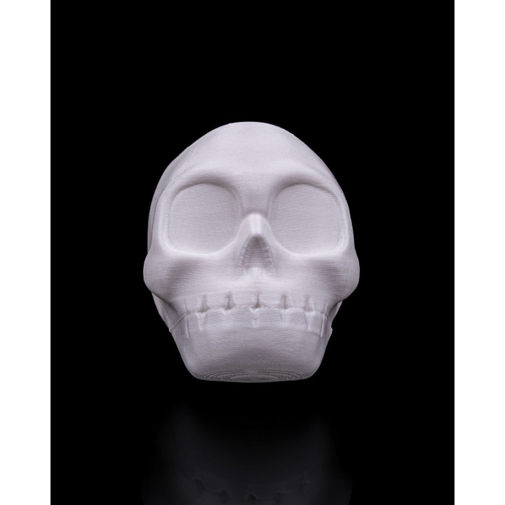 Crâne Claqueur À Mâchoire Articulée – Rattle Jaw Skull