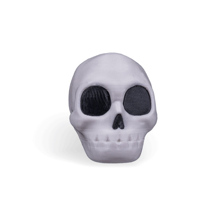 Crâne Claqueur À Mâchoire Articulée – Rattle Jaw Skull