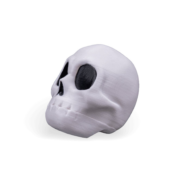 Crâne Claqueur À Mâchoire Articulée – Rattle Jaw Skull