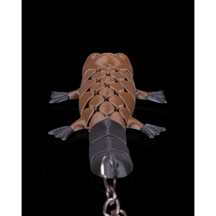 Pierre Le Ornithorynque – Porte-Clés Articulé