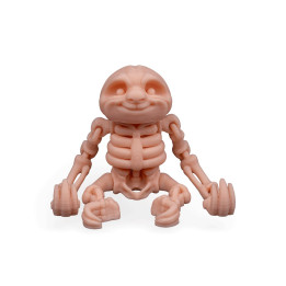Paresseux Squelette Articulé – Skeleton Sloth
